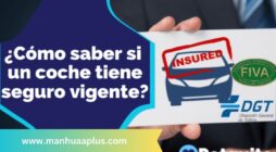 https://petquite.com/como-saber-si-un-coche-tiene-seguro/